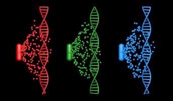 Extended TAILOR-PCI Data Again Show No Gains for Genotype-Guided Meds 