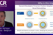 DynamX Bioadaptor Provides Promising Preliminary Results for De Novo Coronary Lesions